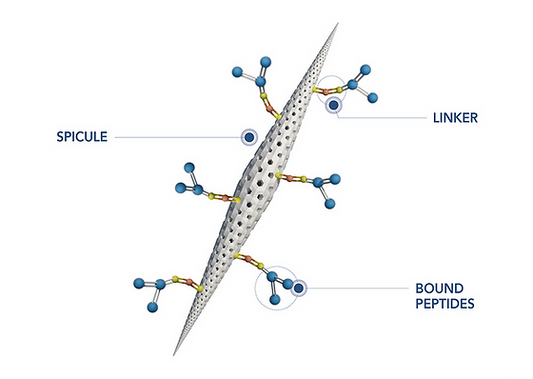 Exquisite Laser Clinic  Treatment face Idenel Glassifier Spicule Treatment (Inclinic)